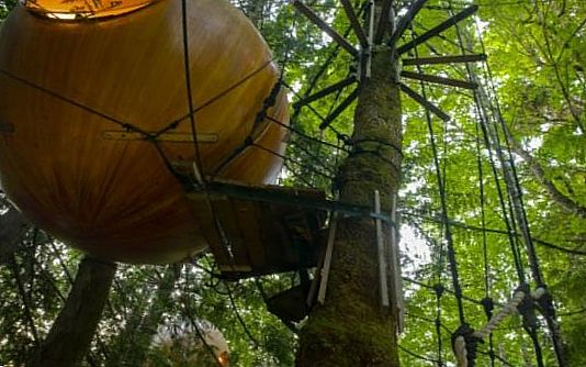 ��� ������ �����, ������