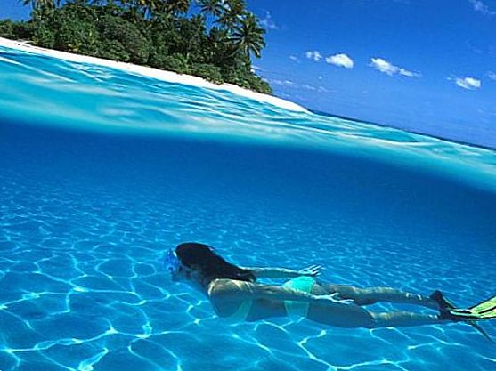 ������� ������ ������, ����������� �������: ����� 23 000 ������ �� ����������